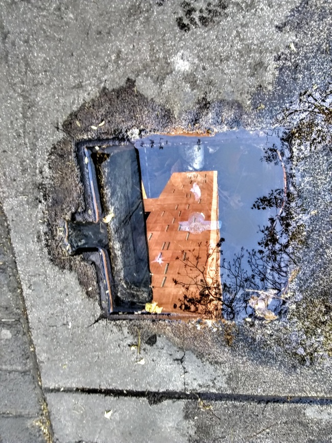 foto:Carlos Galindo  - lo hecho en México