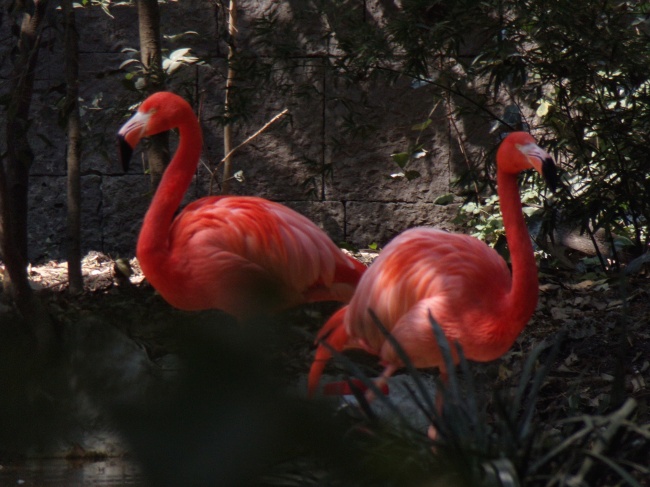 foto:Tere Ramírez    - lo hecho en México