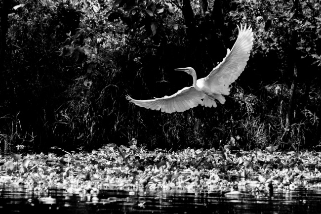 foto:Isaac López  - lo hecho en México