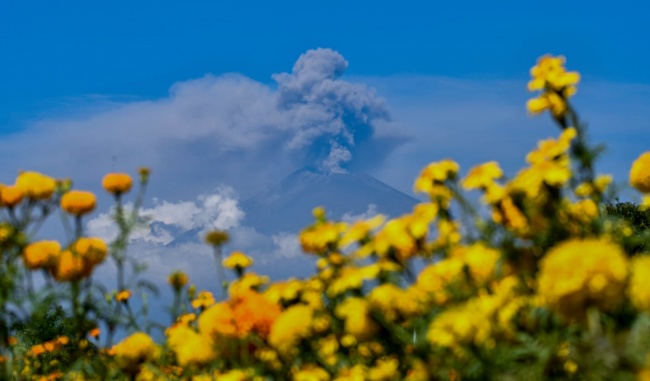 foto:José Valdemar Martínez Castro   - lo hecho en México