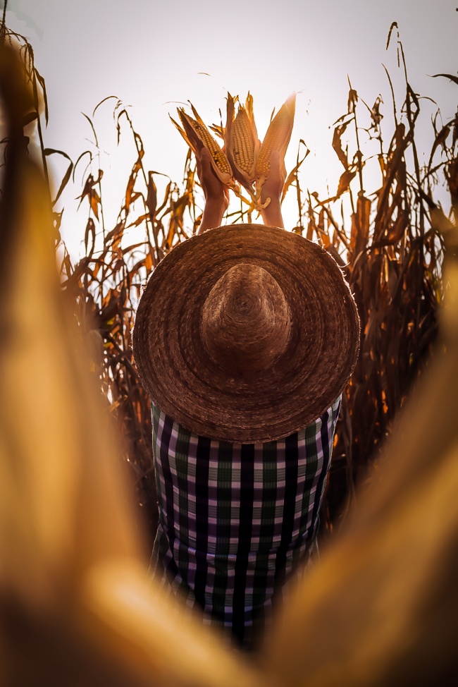 foto:Miguel Angel Miranda Monroy   - lo hecho en México