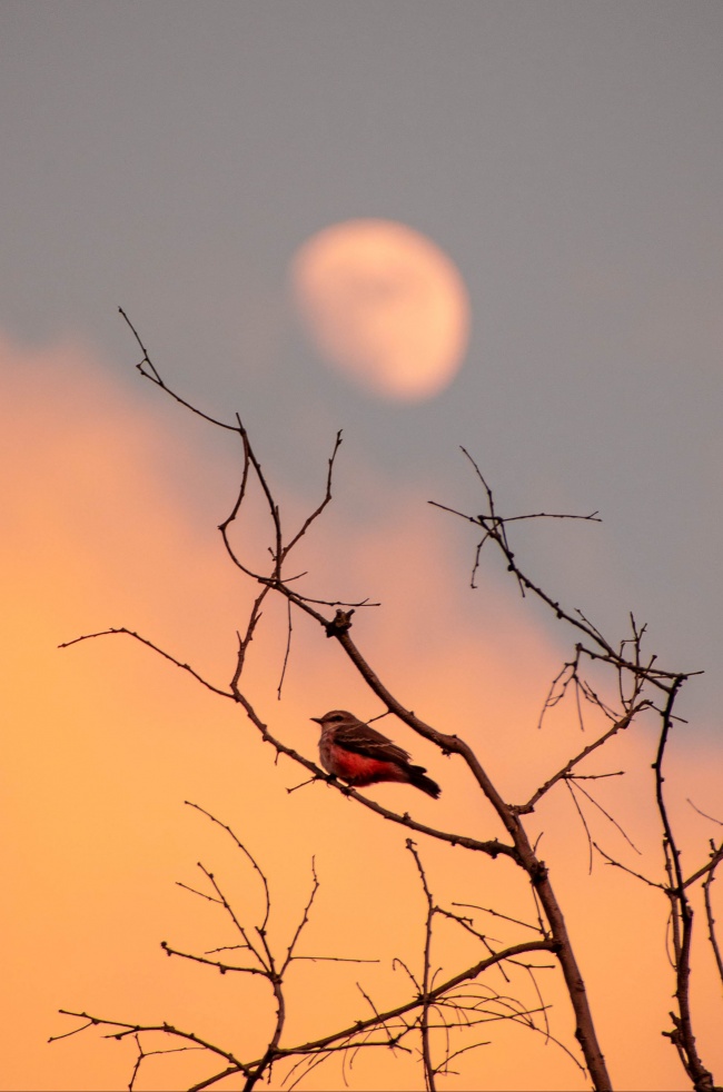 foto:Saúl Tonalli Rodríguez Vázquez  - lo hecho en México
