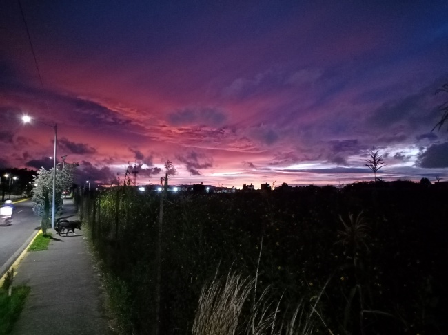 foto:Fernando López Loredo   - lo hecho en México
