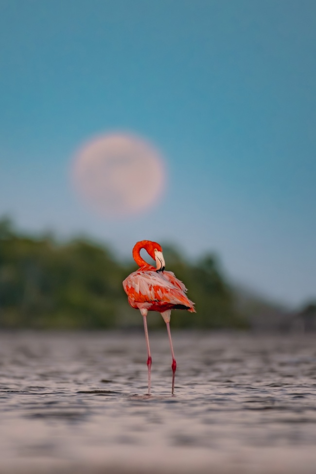 foto:Nelly Georgina Quijano Duarte  - lo hecho en México