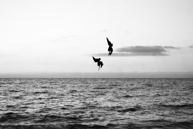 foto:Alexia Osuna Rosas   - lo hecho en México