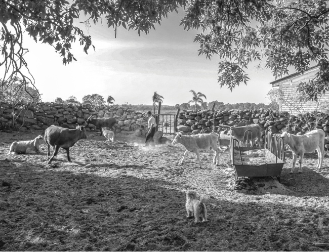 foto:daniel gutierrez gomez  - lo hecho en México