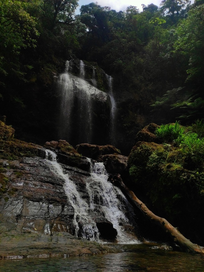 foto:Emilia Rivera Monterrubio  - lo hecho en México
