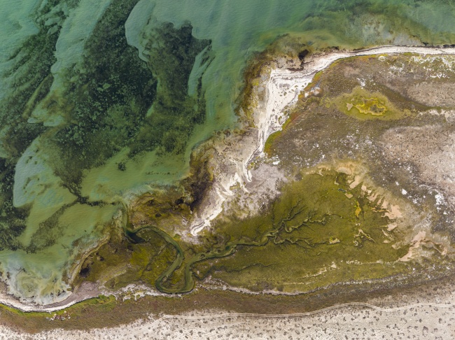 foto:Eduardo Esses Gritzewsky  - lo hecho en México