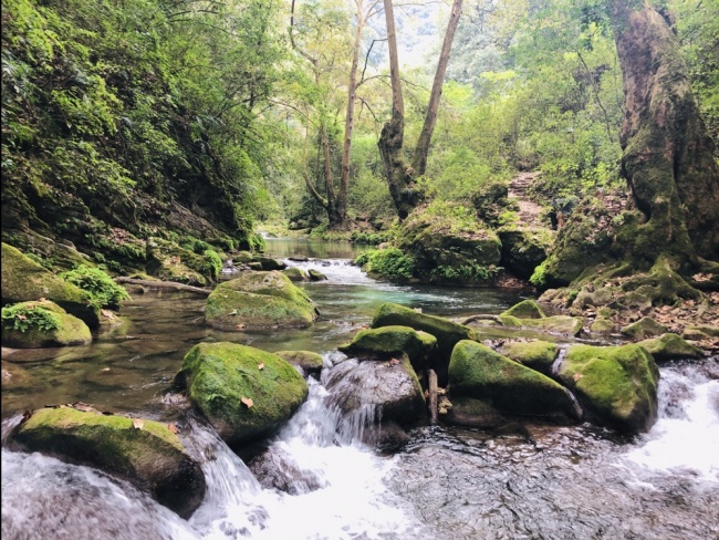 foto:Miguel Oswaldo Reyes Zepeda  - lo hecho en México