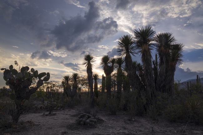 foto:FERNANDO RODRIGUEZ MOLINA  - lo hecho en México