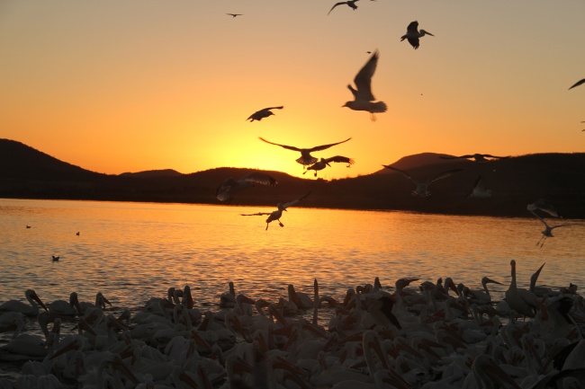 foto:GUILLERMO FERNANDO LARA SNGUIANO  - lo hecho en México