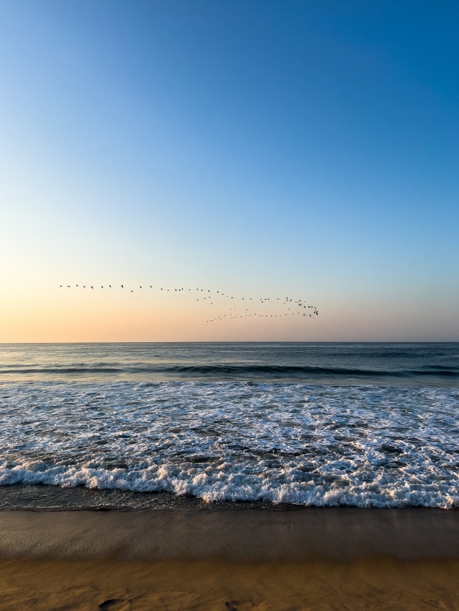 foto:Liliana Navarrete Salazar   - lo hecho en México