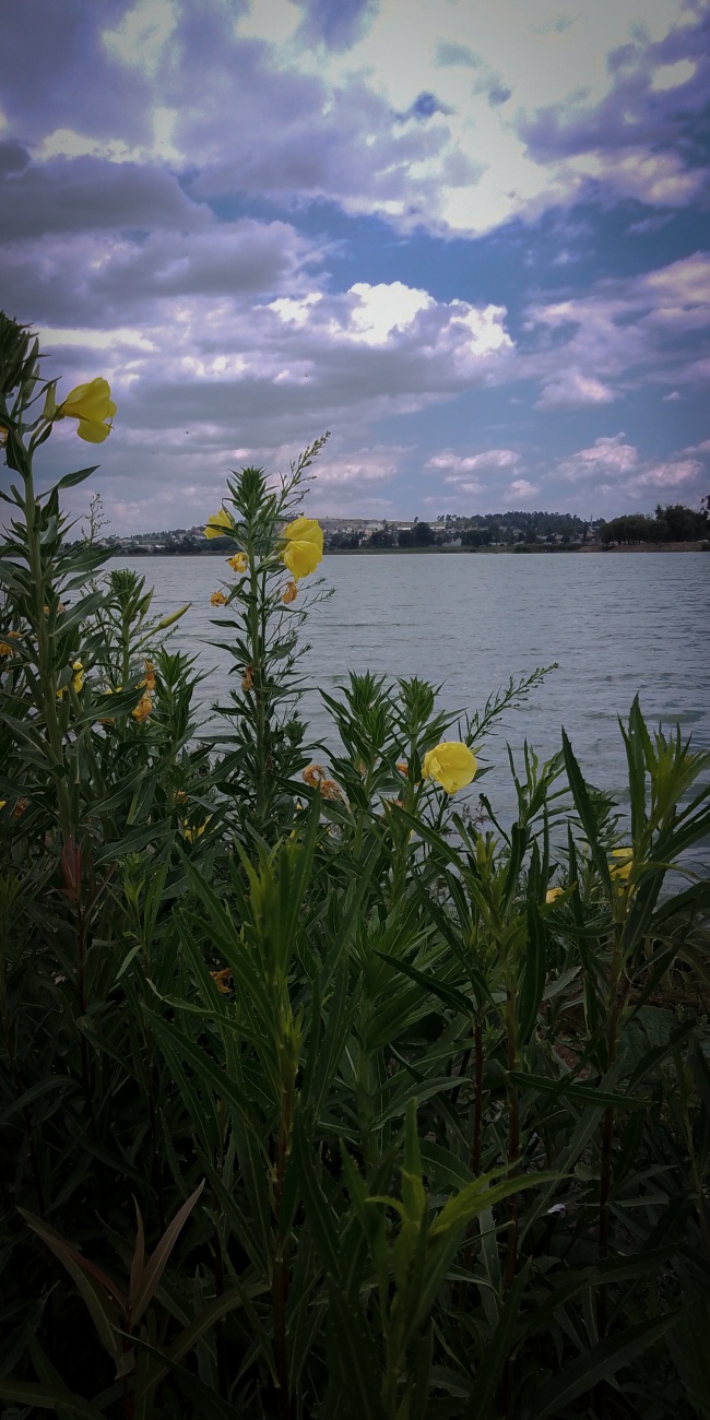 foto:Javier olivo texis   - lo hecho en México