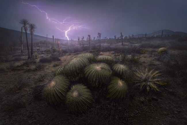 foto:Luis Roberto  Lyons Suárez  - lo hecho en México
