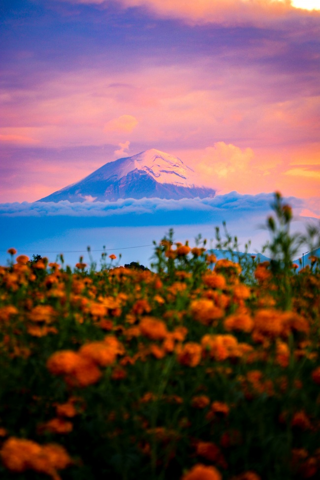 foto:Luis Alberto Sosa Aragón   - lo hecho en México