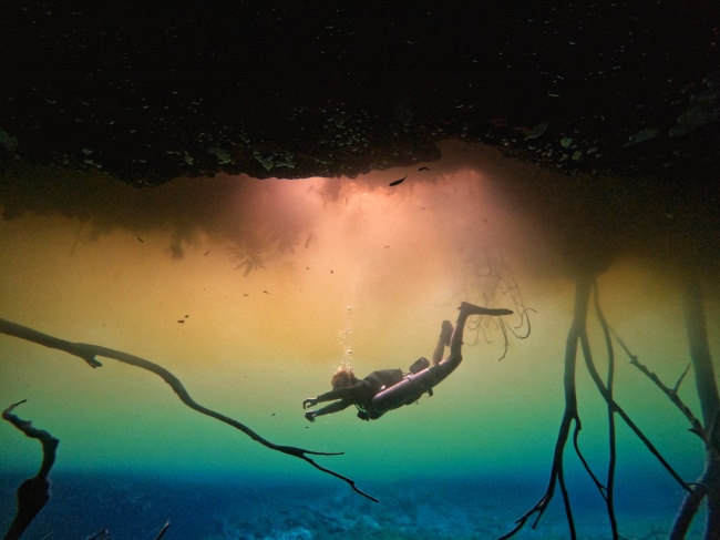 foto:Andrea Alanís   - lo hecho en México