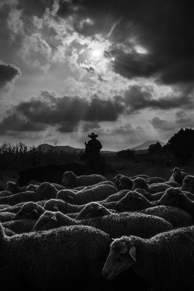 foto:Renato Valentino Roldán Prado  - lo hecho en México