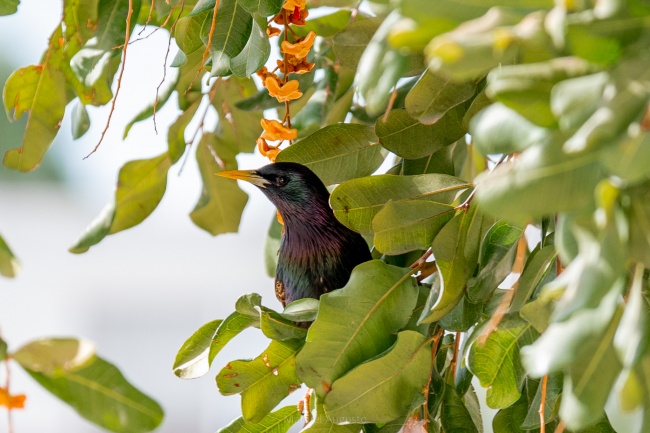 foto:Manuel Augusto Favila Díaz Infante  - lo hecho en México