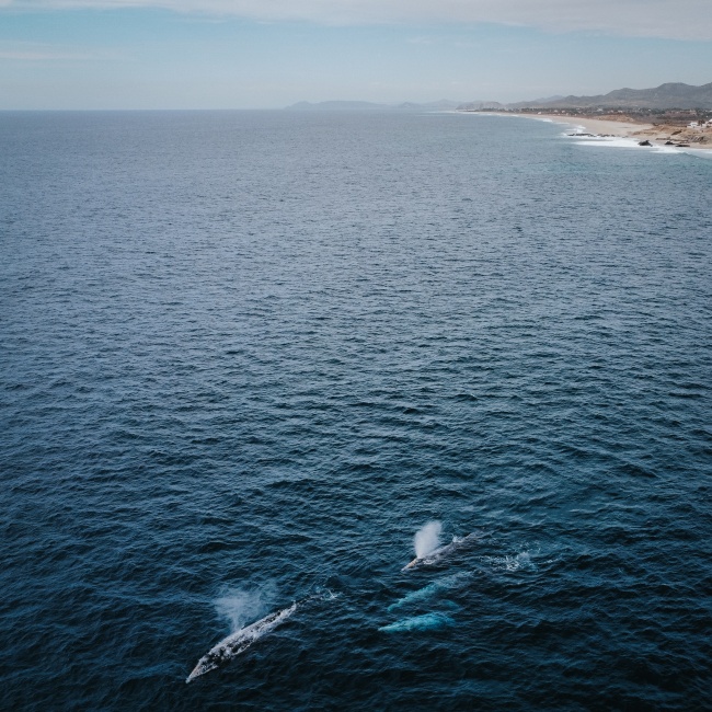 foto:José Humberto Mendoza Willars   - lo hecho en México