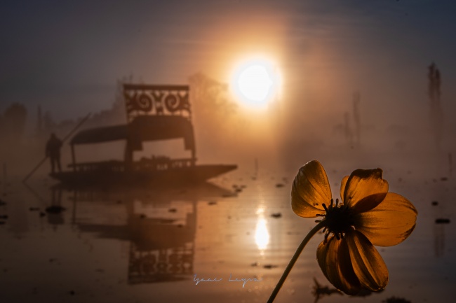 foto:Isaac Leyva   - lo hecho en México