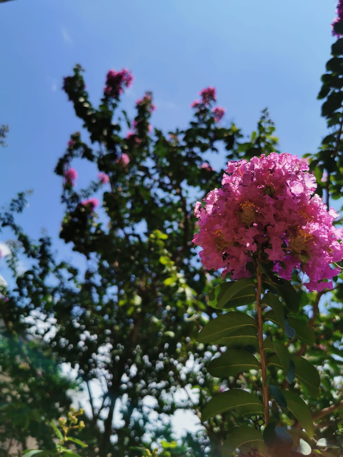 foto:Nayeli Lopez  - lo hecho en México