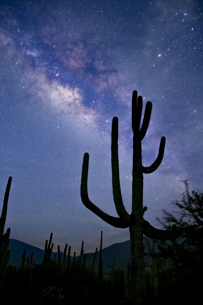 foto:Fabiola Marina Sáenz Cózar   - lo hecho en México