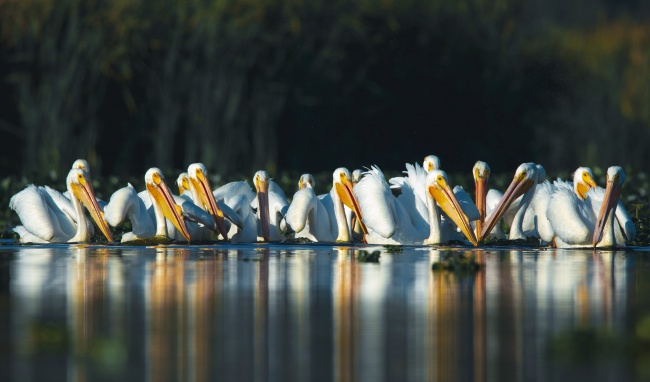 foto:Luis Carlos Suarez Serrano  - lo hecho en México