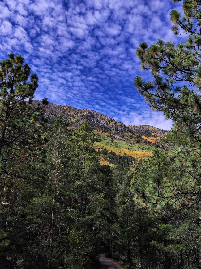 foto:Marlene Citlali Saucedo Fernández   - lo hecho en México