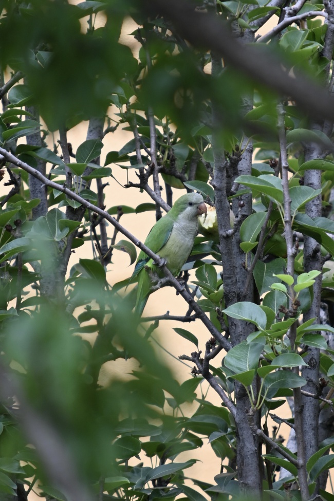 foto:Rodrigo Ricardez Rangel   - lo hecho en México