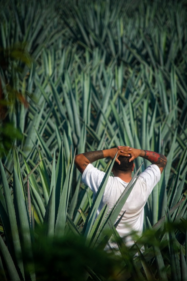 foto:Zetina Martínez Irvin alexander  - lo hecho en México