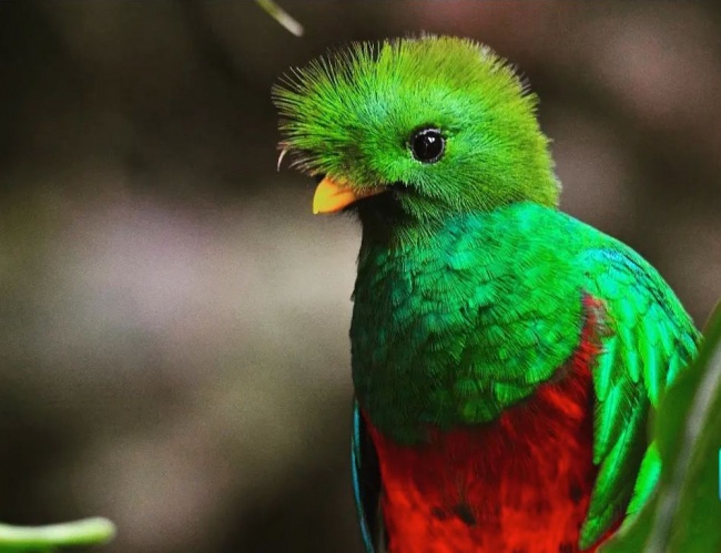 foto:EFRAIN ORANTES ABADIA  - lo hecho en México