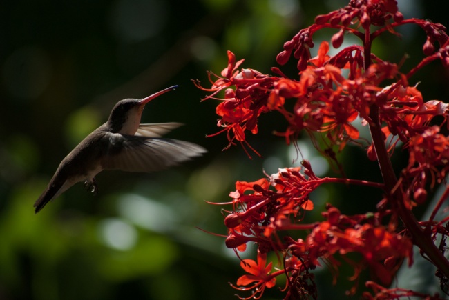 foto:José Ángel Rivera Morales   - lo hecho en México