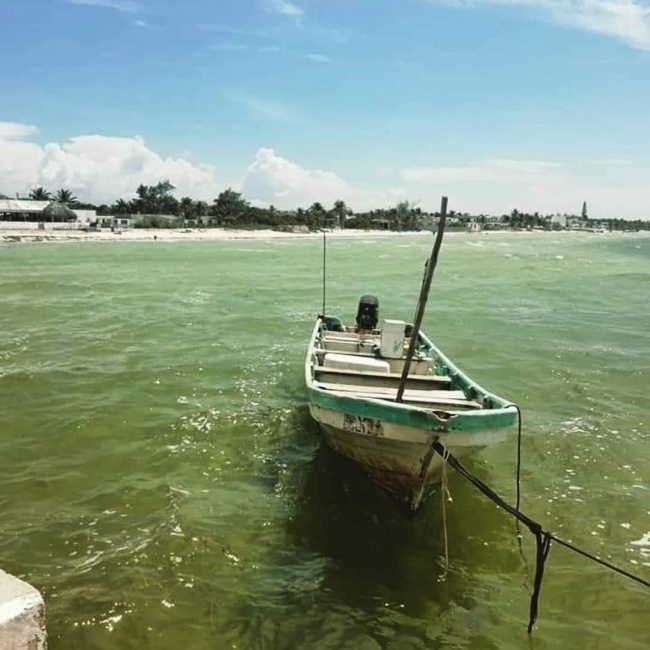 foto:José Enrique Rosales Calleros   - lo hecho en México