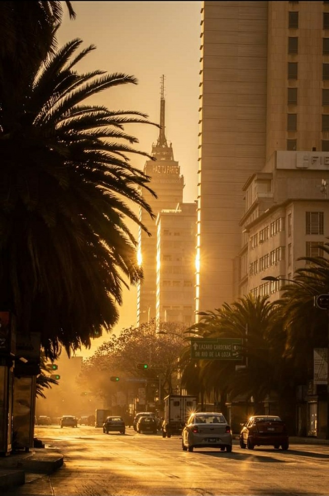 Cristian Cuellar Solis  