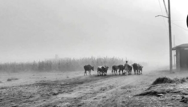 foto:Octavio Garduño Sánchez   - lo hecho en México