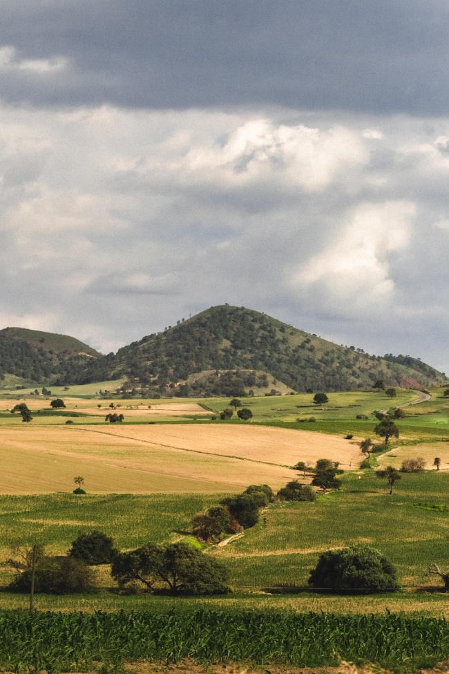 foto:José Ángel Tapia Ramírez   - lo hecho en México