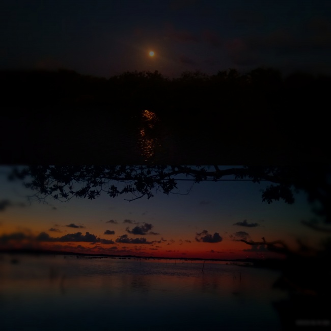 foto:Gabriel Canul   - lo hecho en México