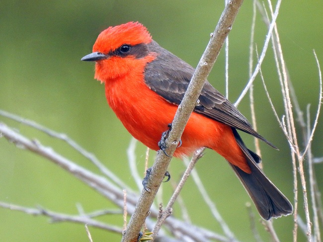 foto:Elizabeth Torres Barajas  - lo hecho en México