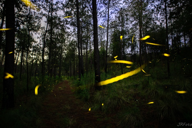 foto:Jose Angel De Leon Rangel   - lo hecho en México