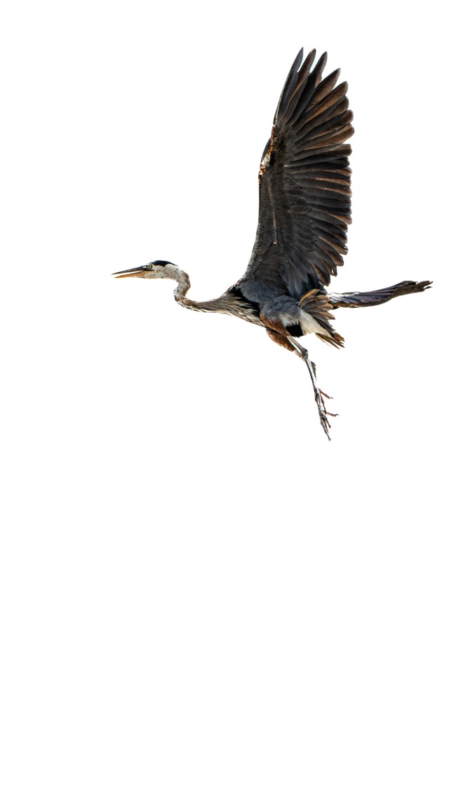 foto:Gumercibdo ramirez  - lo hecho en México