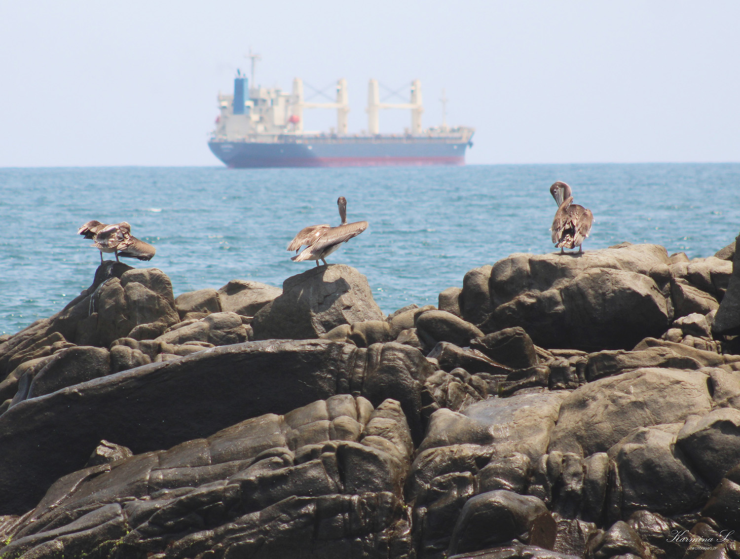 foto:Martín Palomares Pérez  - lo hecho en México