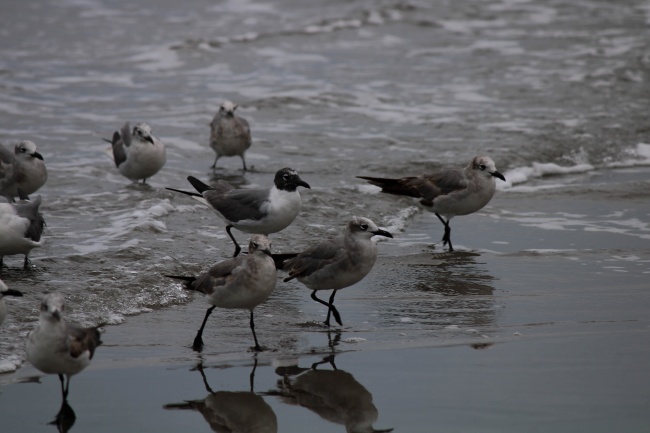 foto:Sofía Vázquez Meraz  - lo hecho en México
