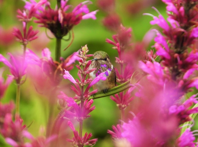 foto:luis colotla perez   - lo hecho en México