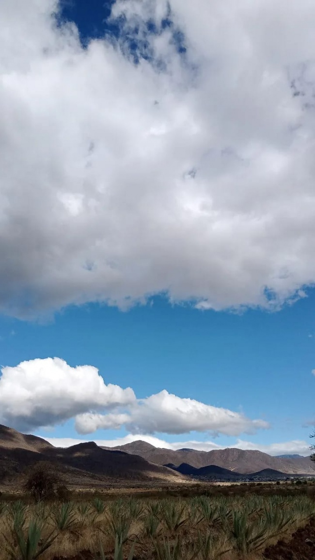 foto:Gabriela López Ruíz   - lo hecho en México