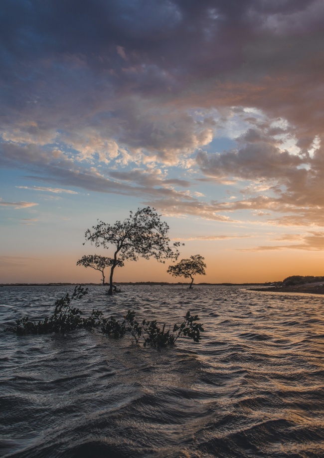 foto:Zahin González Soto  - lo hecho en México