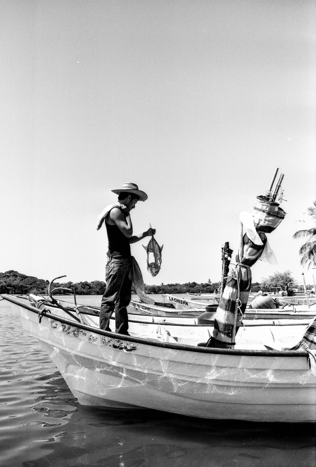 foto:Carlos Ignacio Avila Avila  - lo hecho en México