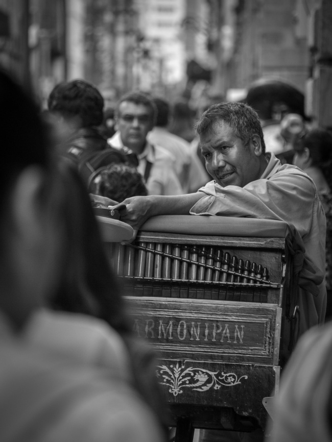 foto:Jorge Alberto Muñoz Ledo Flores  - lo hecho en México