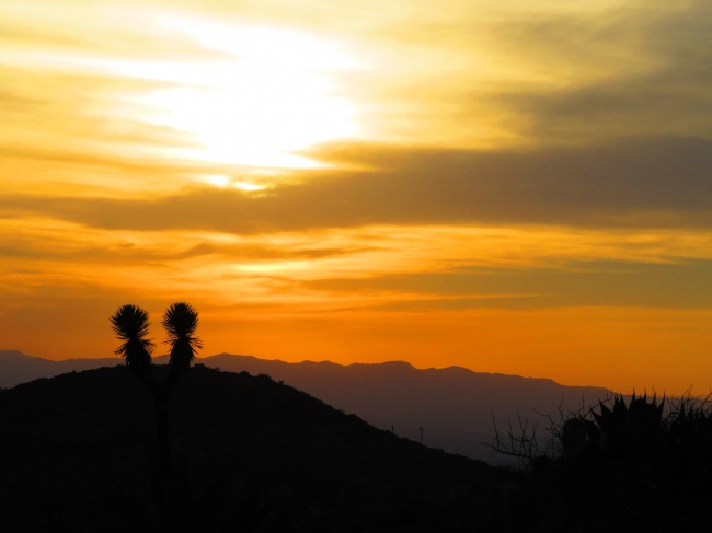 foto:Mariana Martinez Barrera   - lo hecho en México
