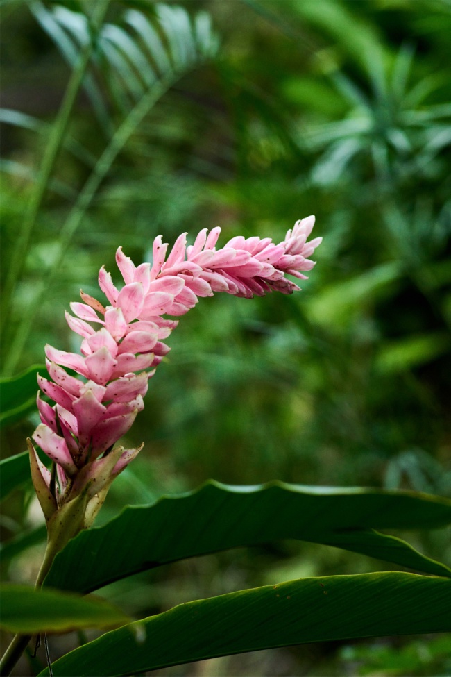 foto:Pedro Benjamin de la Rosa Pasos  - lo hecho en México