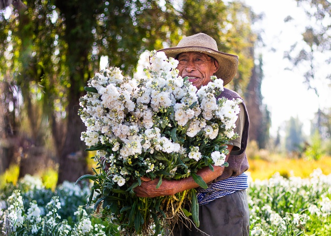 foto:Beatriz Teresa Juarez Macias  - lo hecho en México